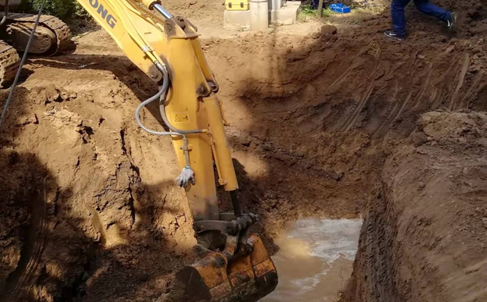 ????????????????豸???? ????????????????豸????